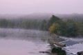 monique_f brume en brenne